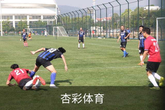 杏彩体育公司简介